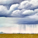 Rain Dance Oil and Wax 36 x 18